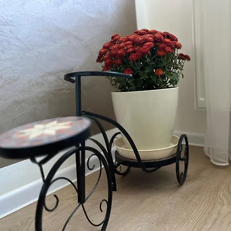 Delux شقة